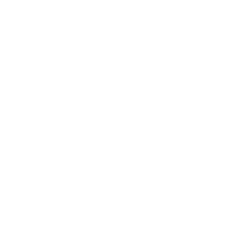 Bruno  Automotive